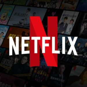 NetFlix Logins